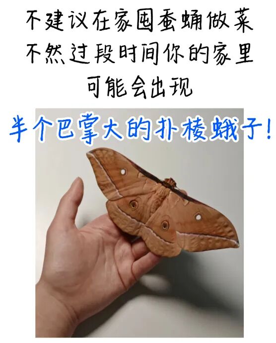 640?wx_fmt=jpeg&from=appmsg