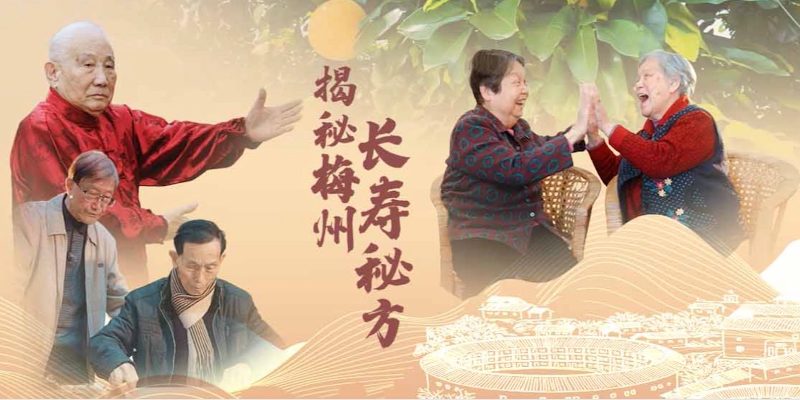 专题头图