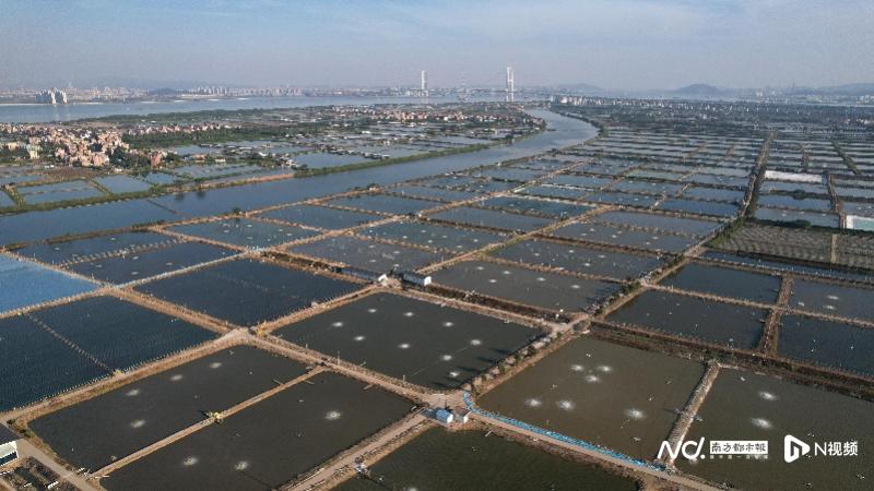 imagefile 800x450_69893c0a6901c.jpg?X-Amz-Content-