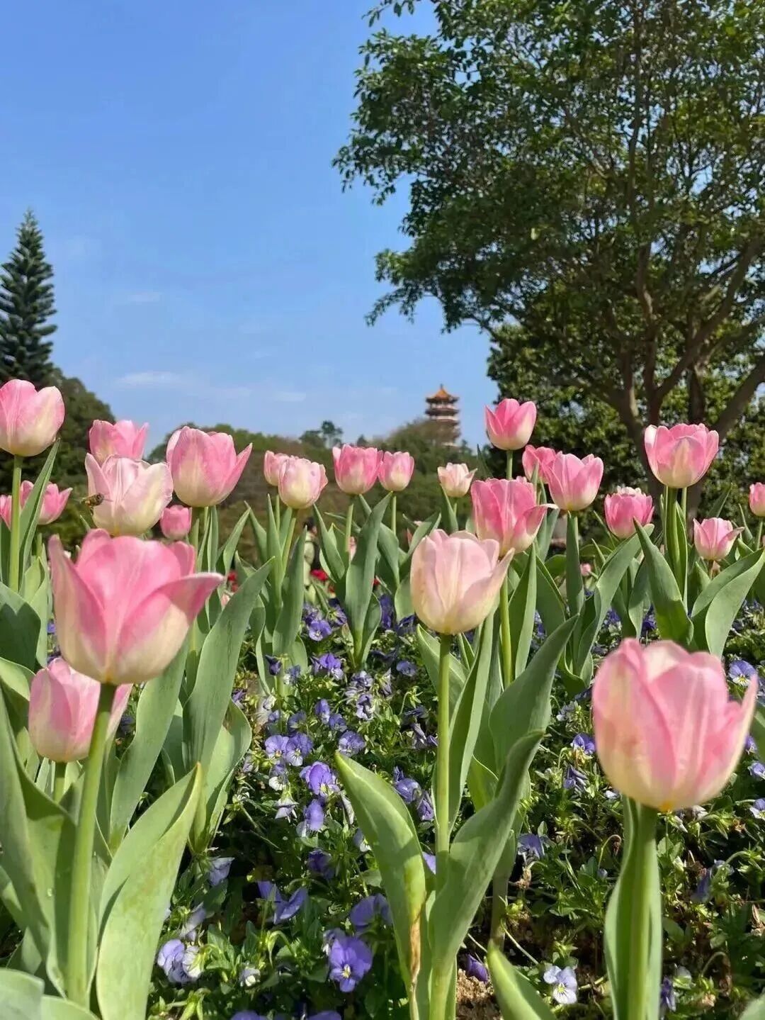 640?wx_fmt=jpeg&from=appmsg