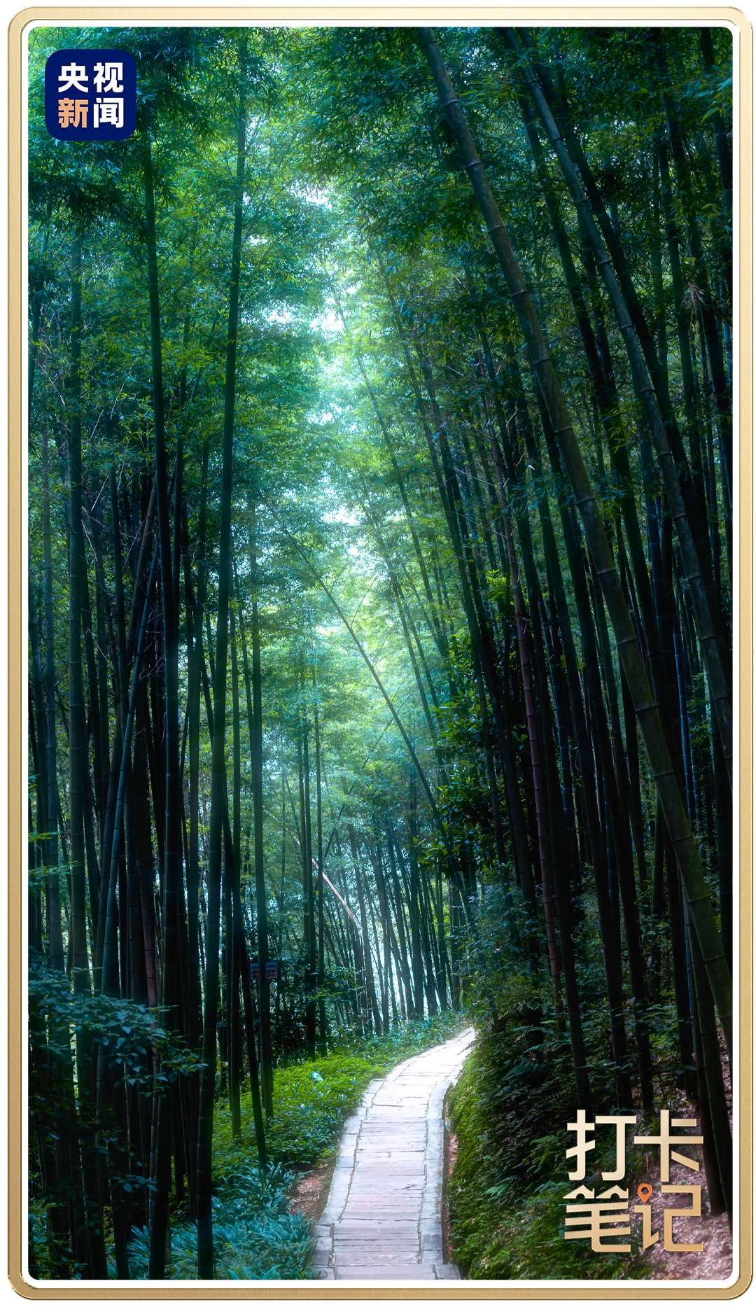 0?wx_fmt=png&from=appmsg