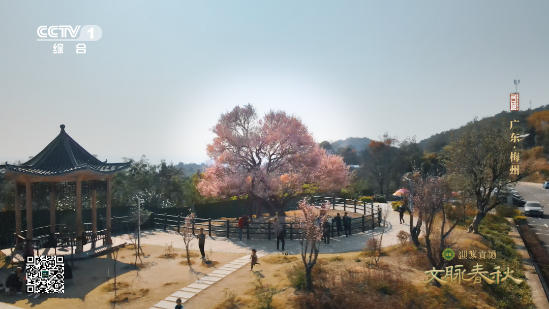 640?wx_fmt=png&from=appmsg