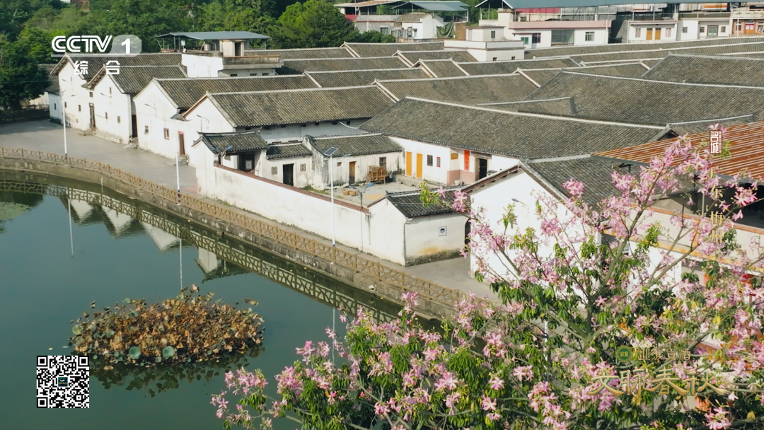 640?wx_fmt=png&from=appmsg