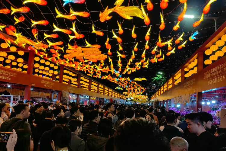 这条街堪称深圳人的春节“顶流”！五年级男孩春联摊位火爆！