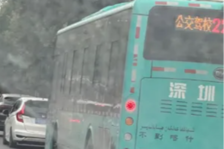 “跑了几千公里，还没出深圳”！多地惊现，很多人过年遇到