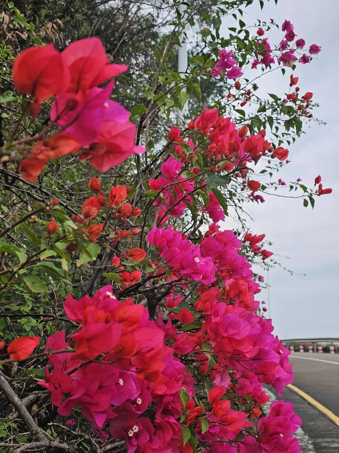 640?wx_fmt=jpeg&from=appmsg