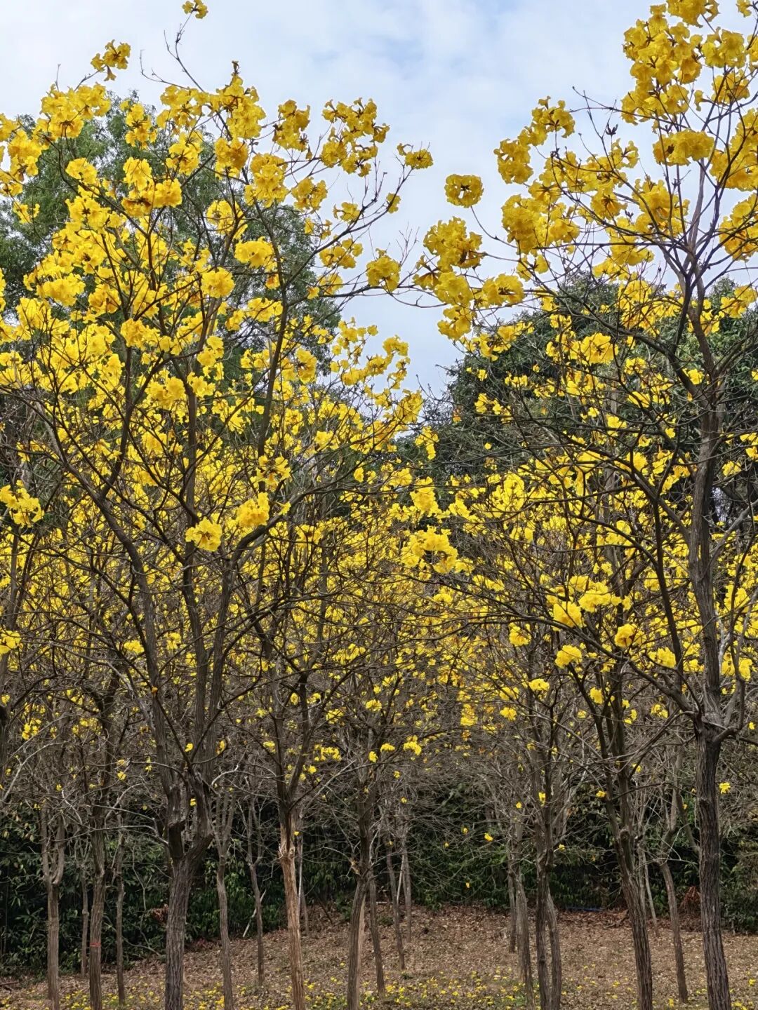 640?wx_fmt=jpeg&from=appmsg