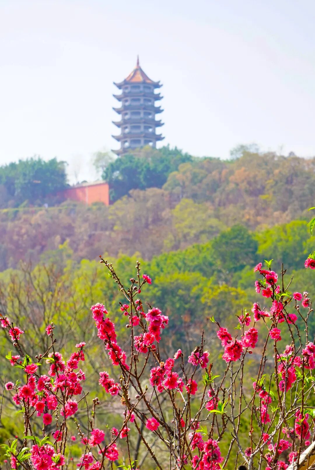 640?wx_fmt=jpeg&from=appmsg#imgIndex=9