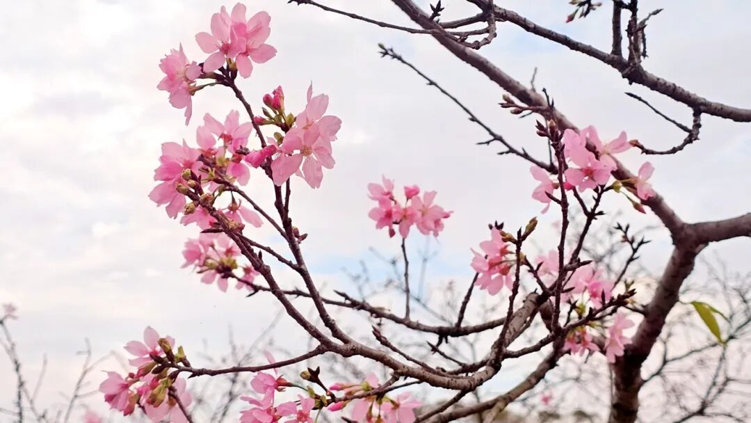 640?wx_fmt=jpeg&from=appmsg