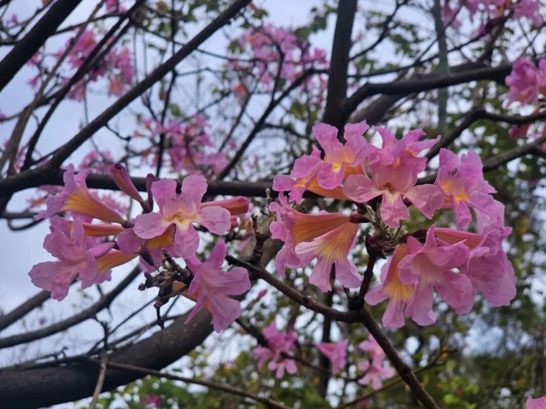 640?wx_fmt=jpeg&from=appmsg