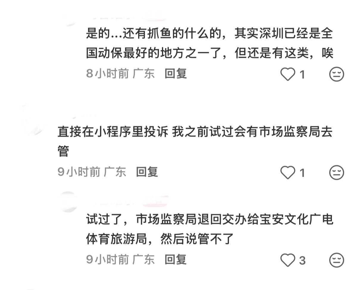 1206x973_69a6be2b1f7ee.jpg?X-Amz-Content