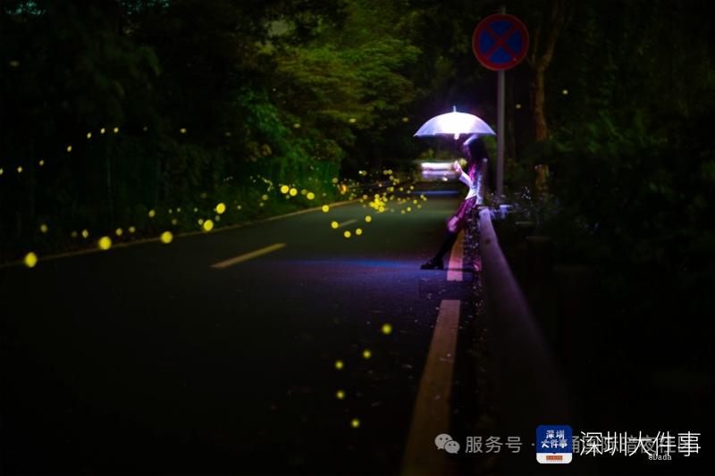 imagefile 800x533_69a7bd5e6c592.jpg?X-Amz-Content-