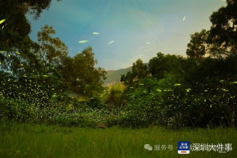 imagefile 800x533_69a7bd5e76e57.jpg?X-Amz-Content-