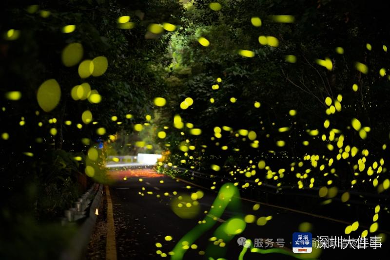 imagefile 800x534_69a7bd5e6ea43.jpg?X-Amz-Content-