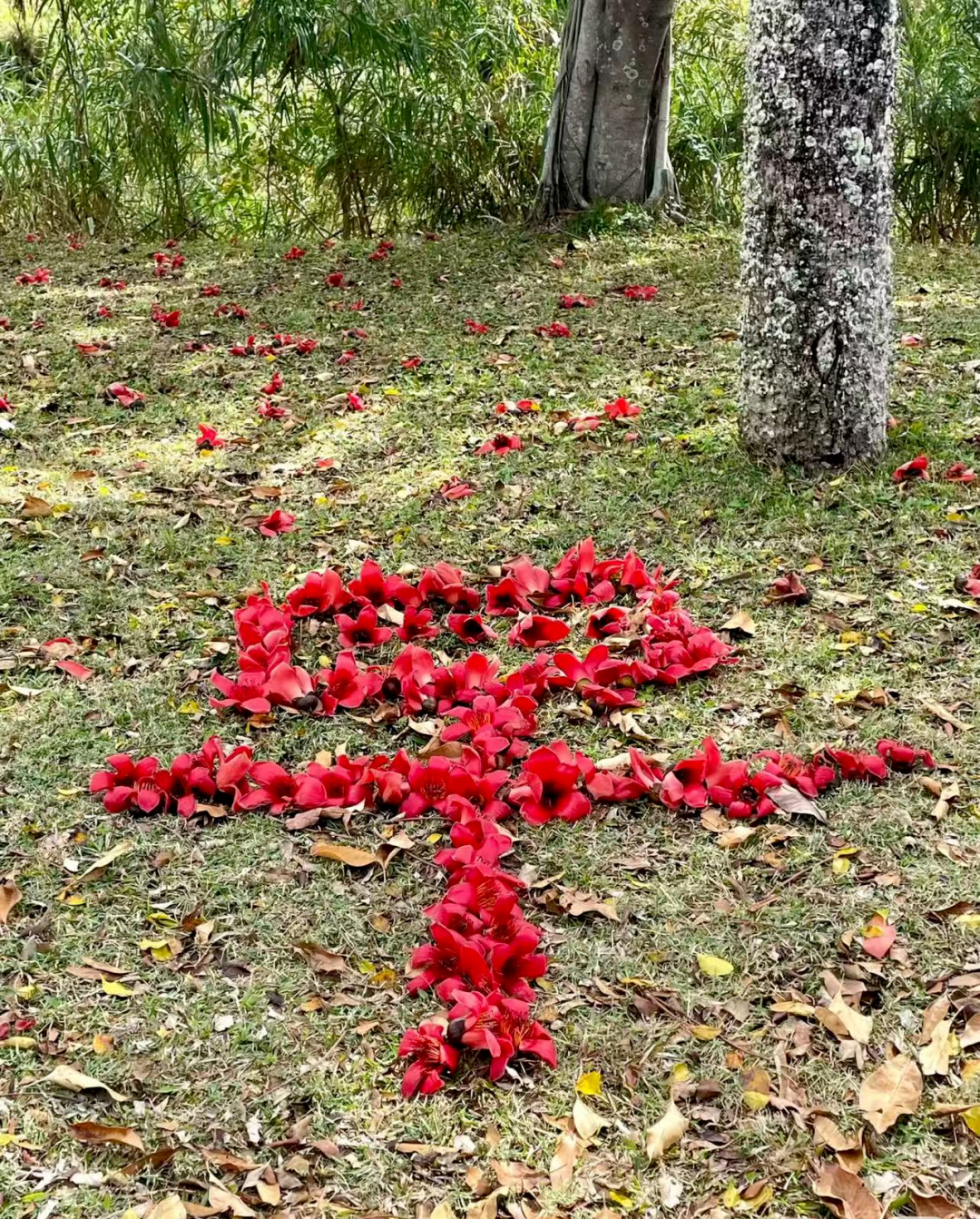 640?wx_fmt=png&from=appmsg&tp=wxpic&wxfr