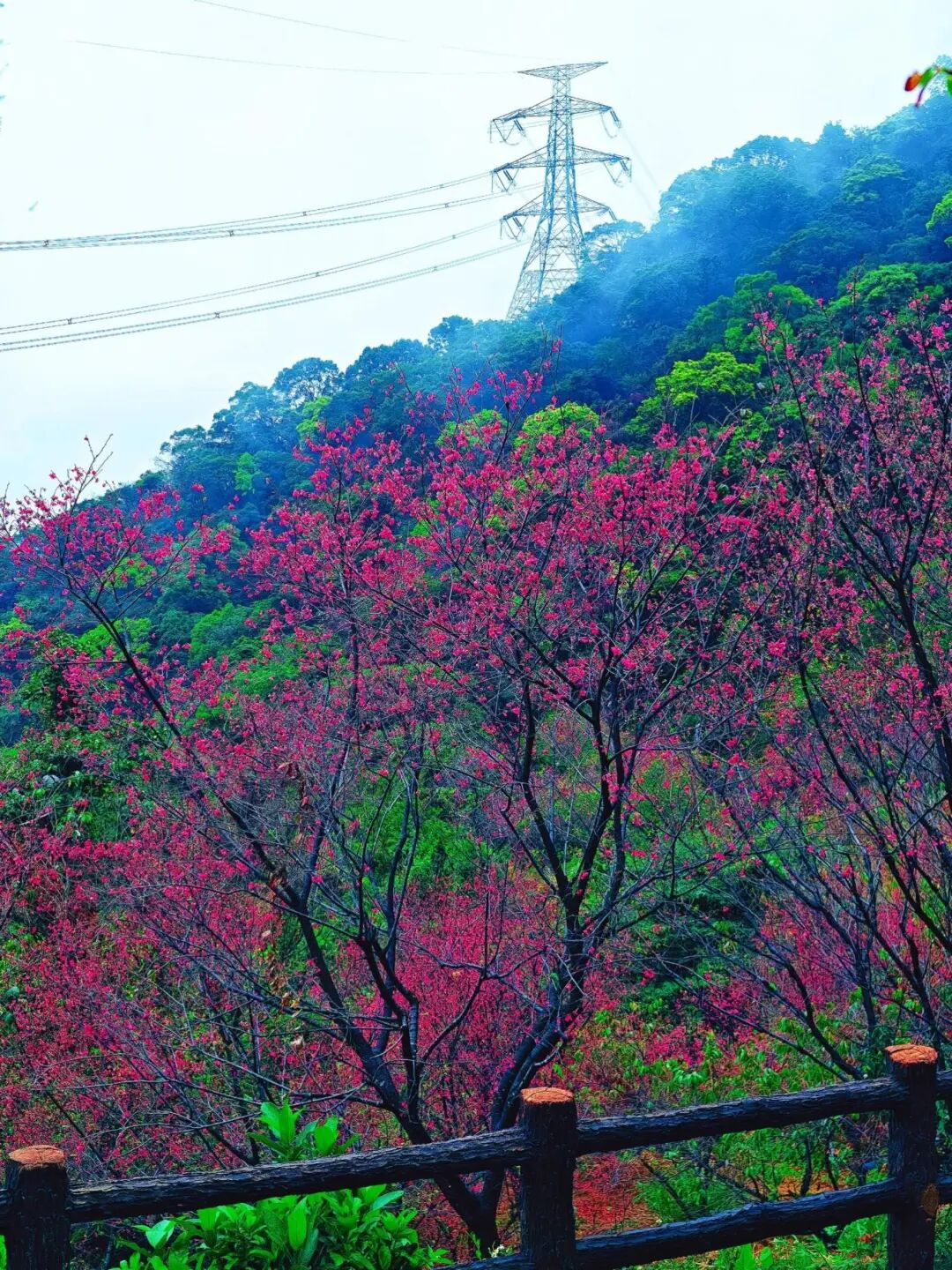 640?wx_fmt=png&from=appmsg&tp=wxpic&wxfr