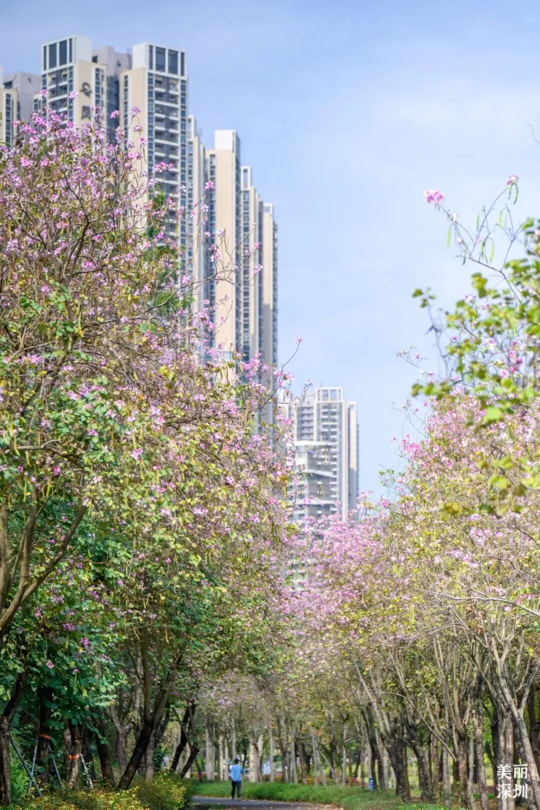 640?wx_fmt=jpeg&from=appmsg&tp=wxpic&wxf