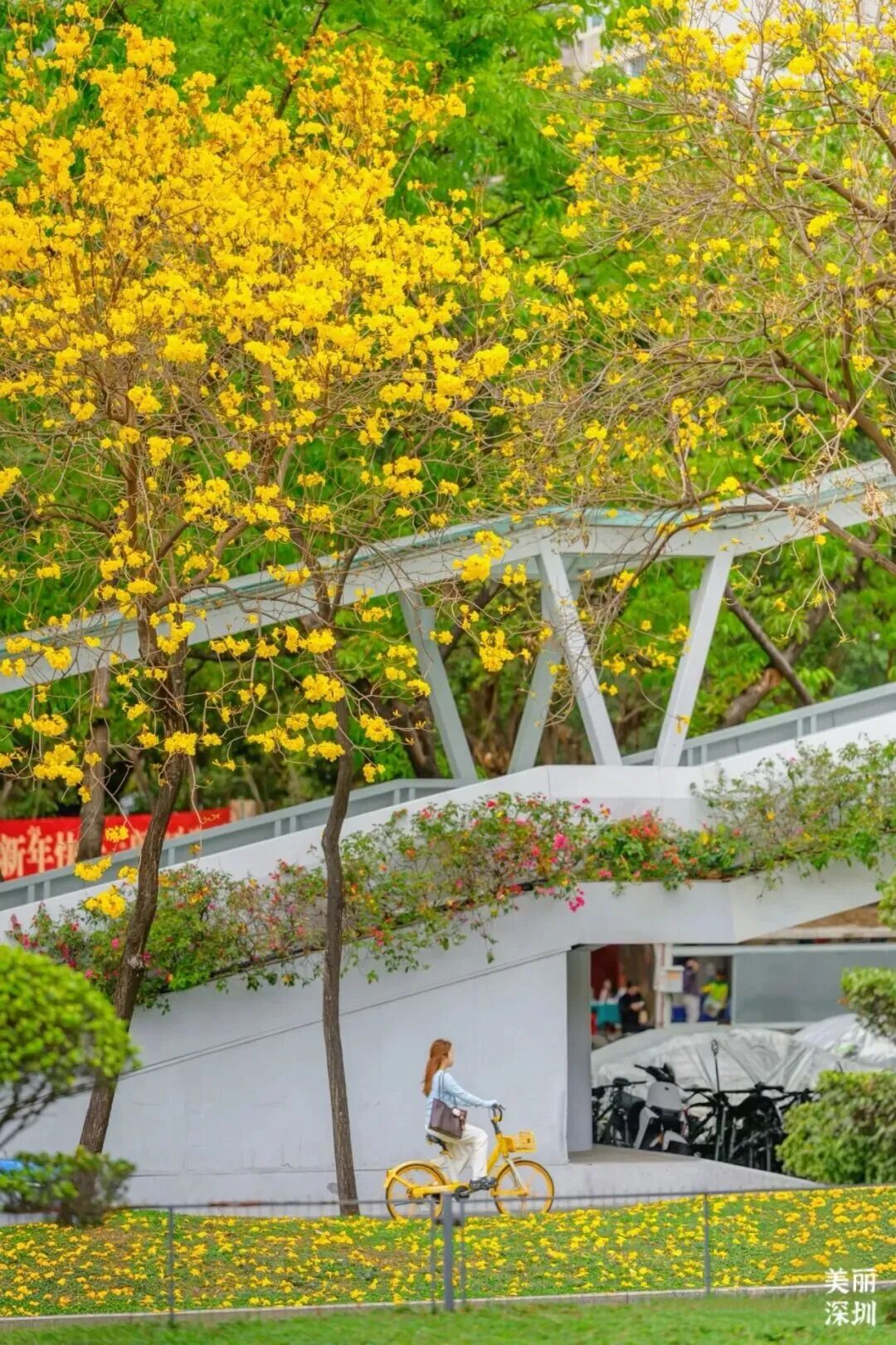 640?wx_fmt=jpeg&from=appmsg&tp=wxpic&wxf