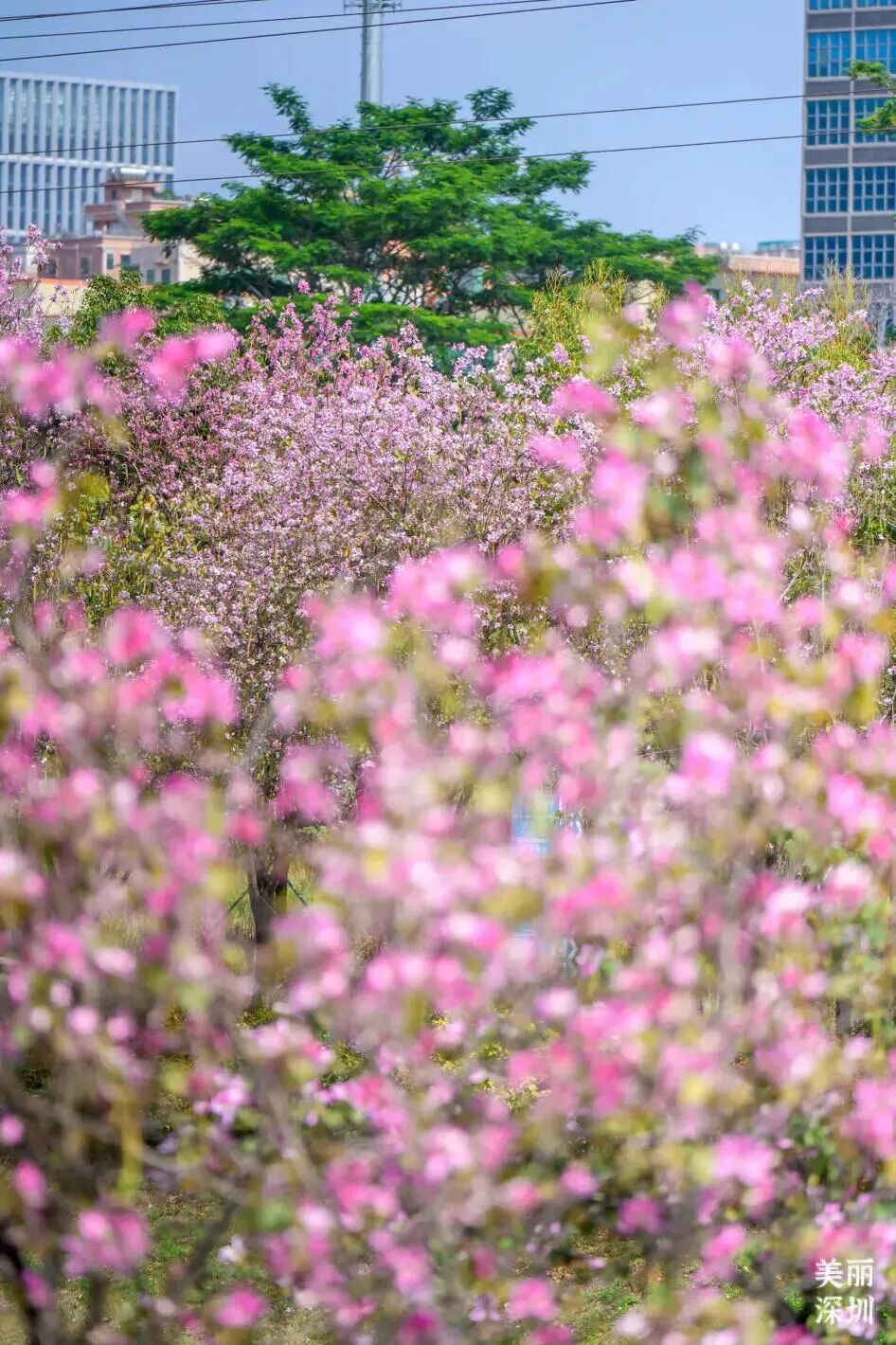 640?wx_fmt=jpeg&from=appmsg&tp=wxpic&wxf