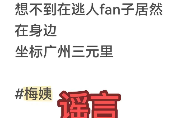 “‘梅姨’在广州三元里落网”为不实信息！相关部门辟谣