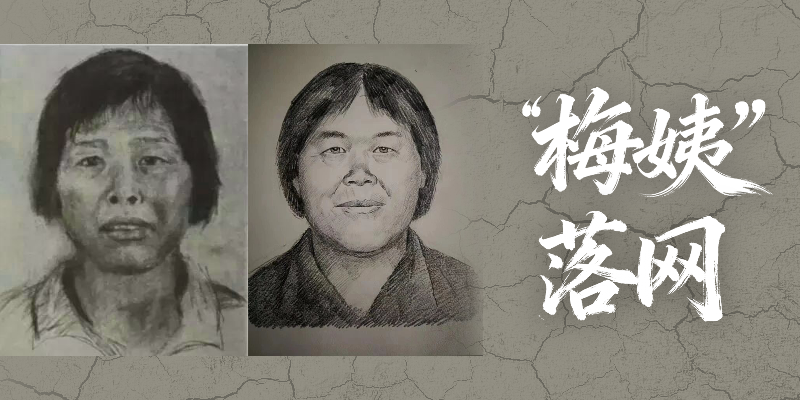 专题头图