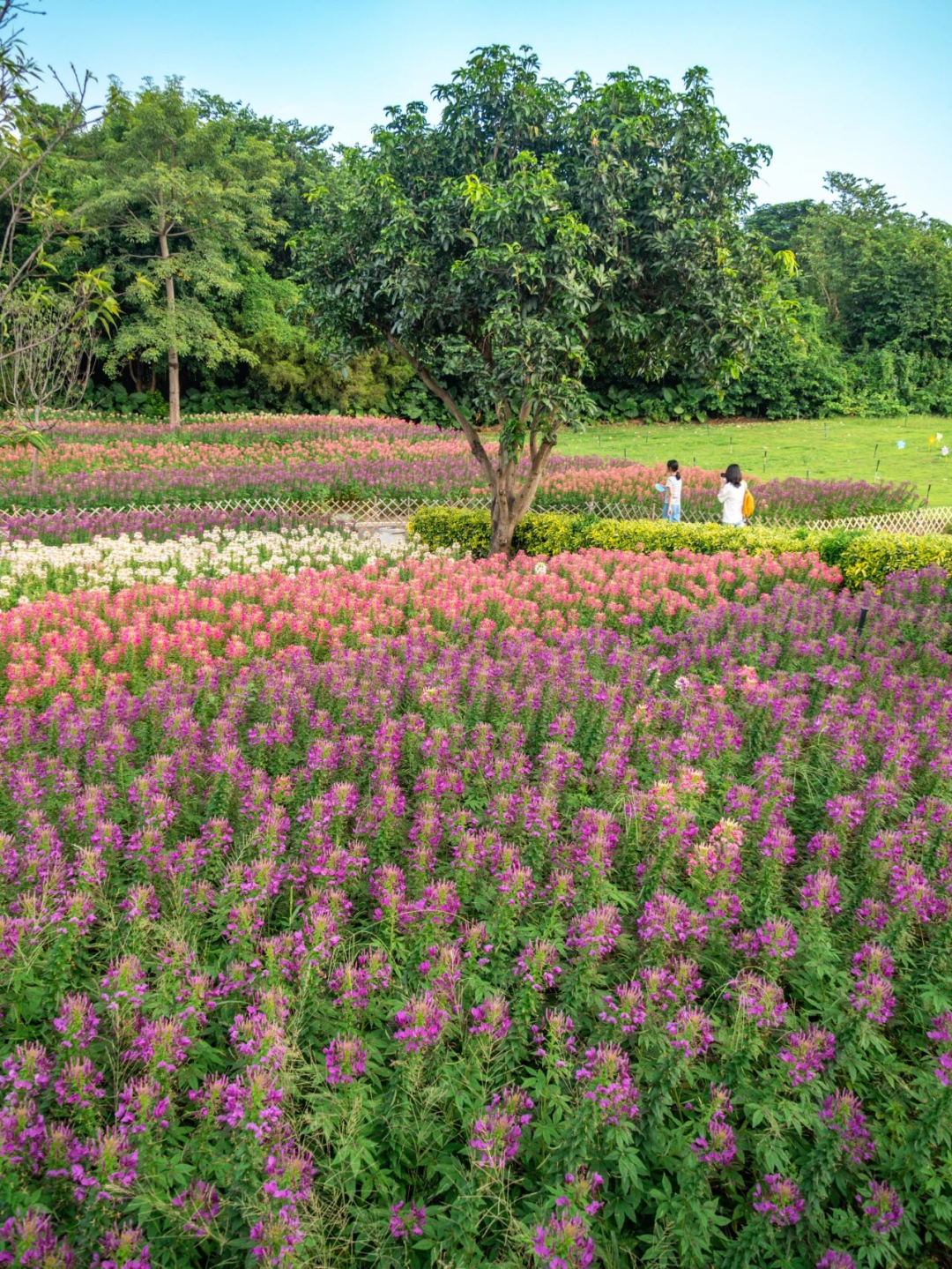 640?wx_fmt=png&from=appmsg#imgIndex=100