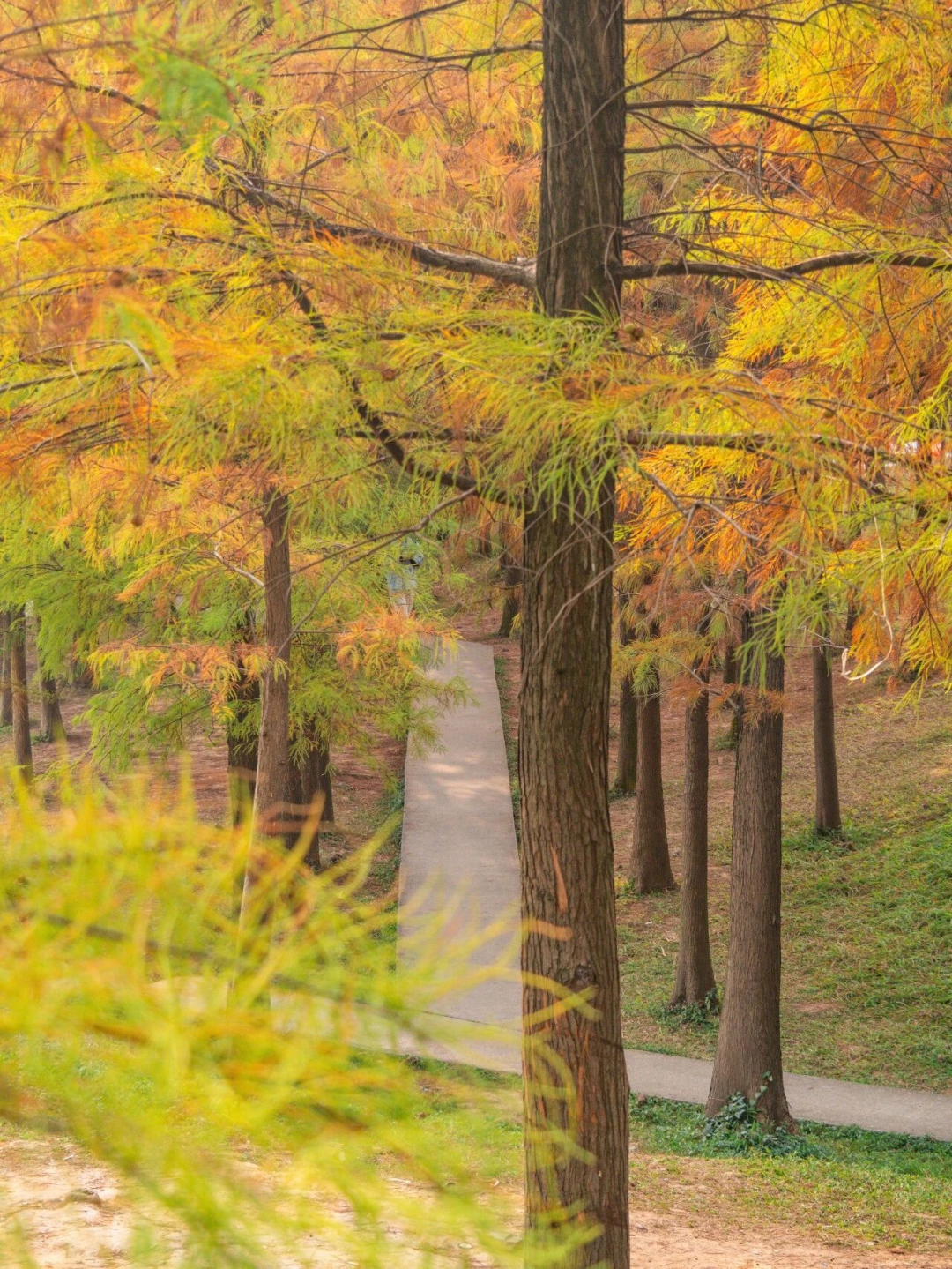 640?wx_fmt=png&from=appmsg#imgIndex=120