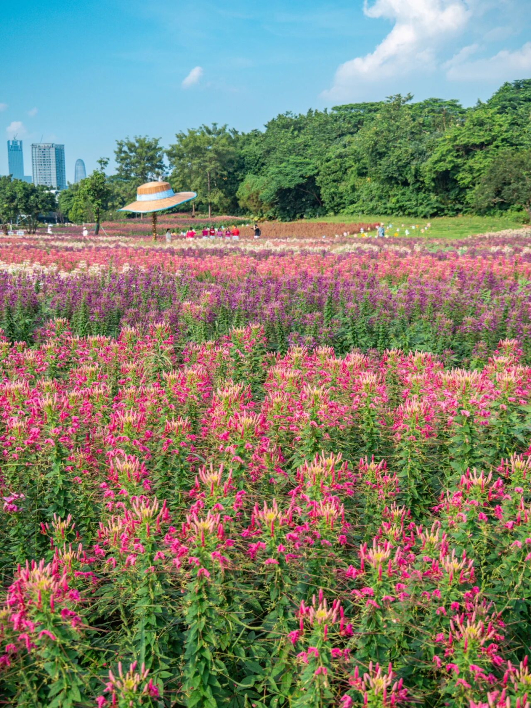 640?wx_fmt=png&from=appmsg#imgIndex=102