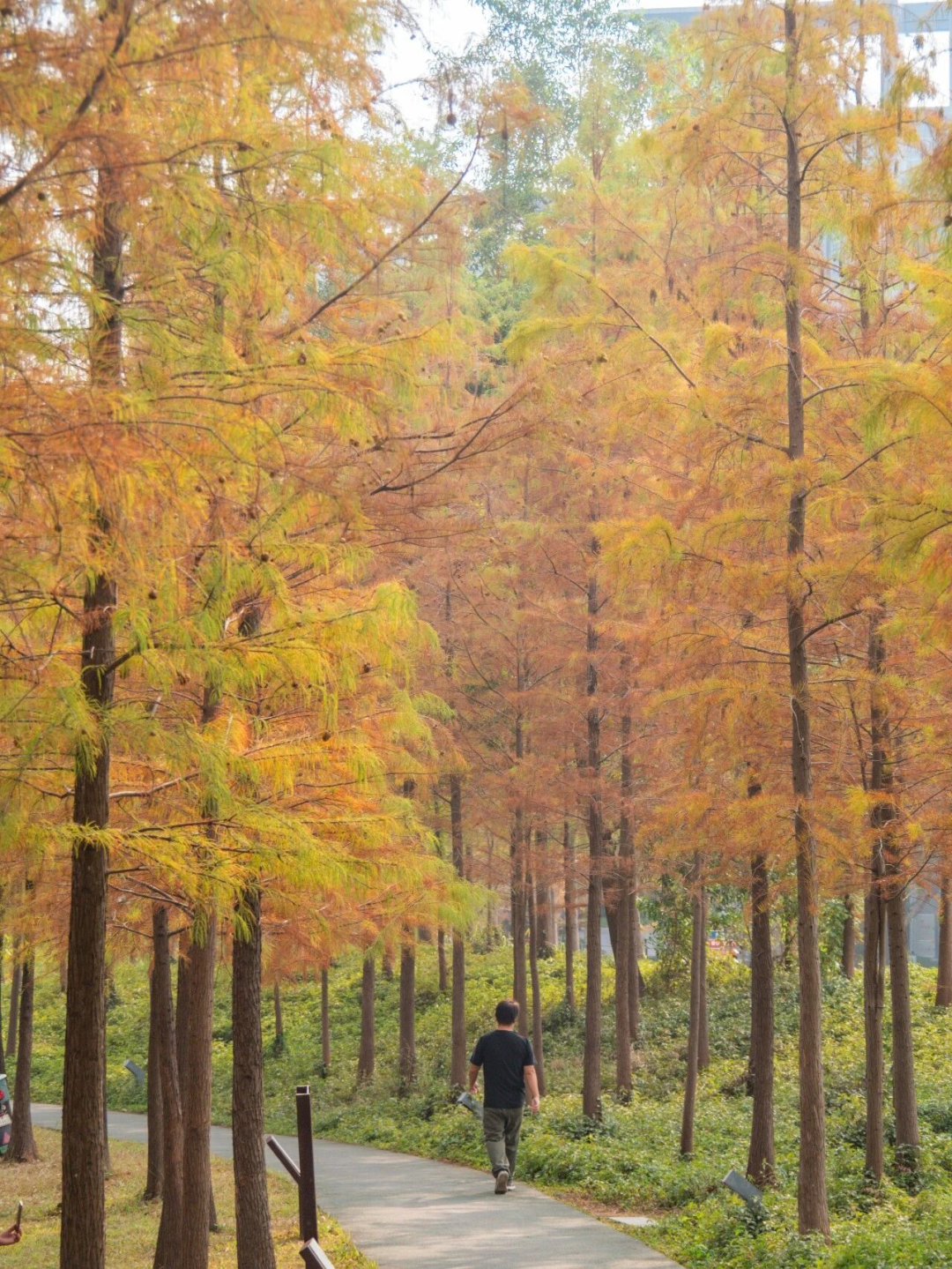 640?wx_fmt=png&from=appmsg#imgIndex=119