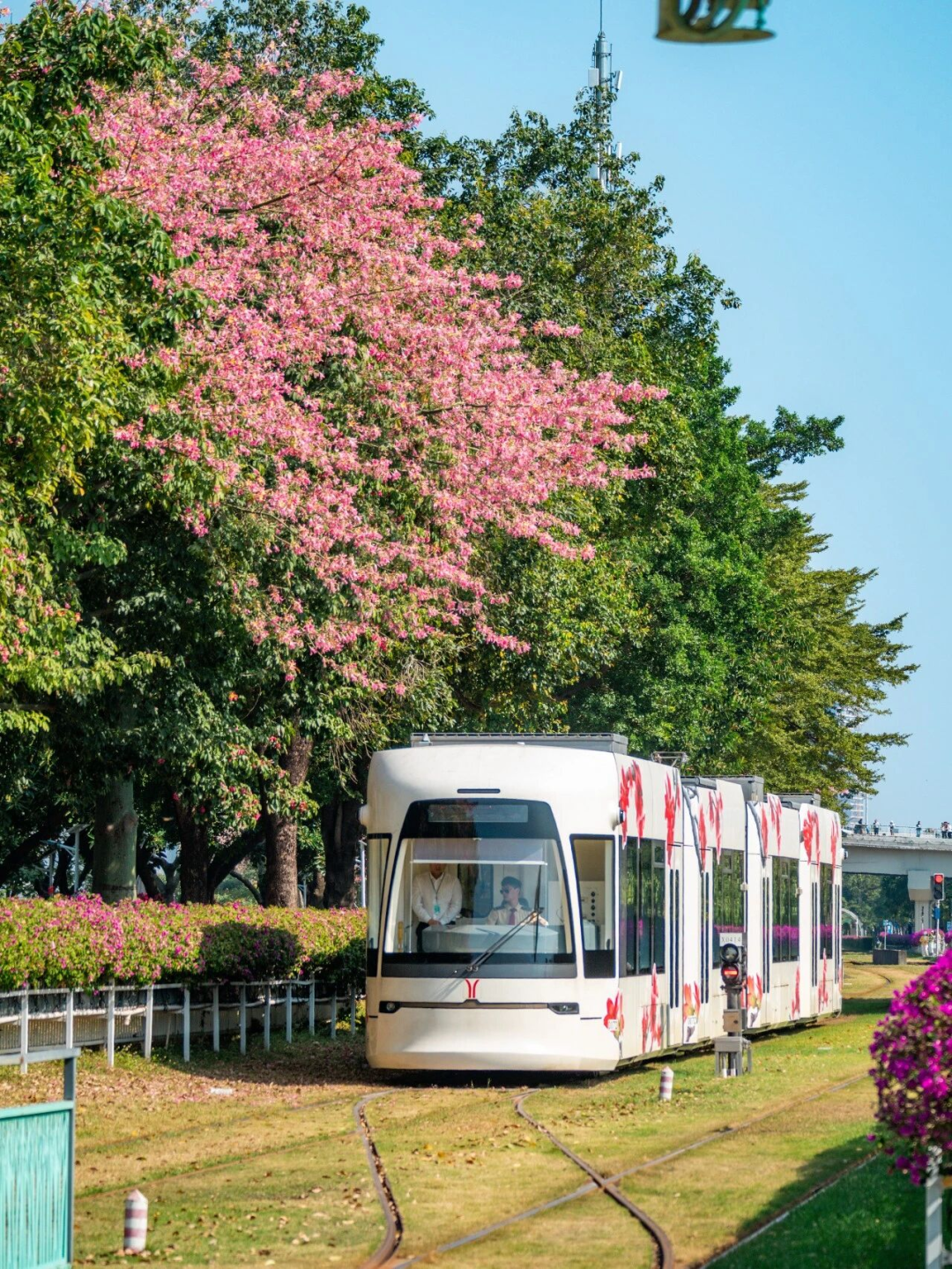 640?wx_fmt=png&from=appmsg#imgIndex=111