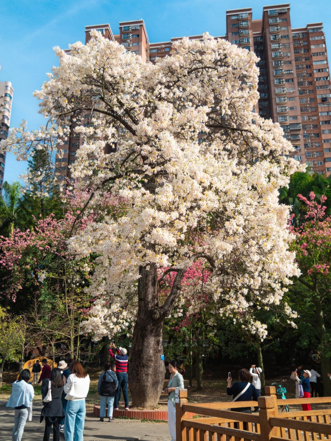 640?wx_fmt=png&from=appmsg#imgIndex=116