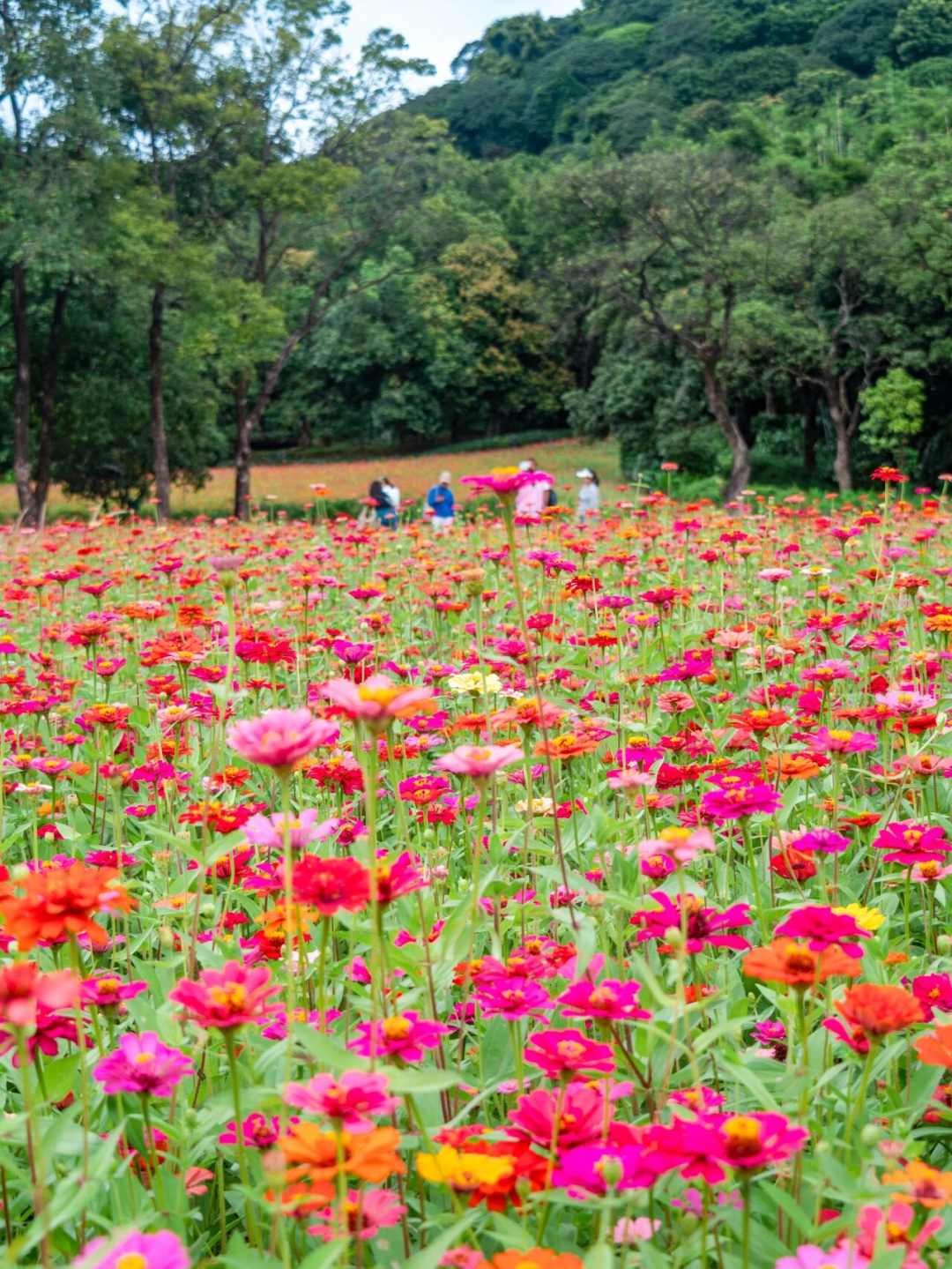 640?wx_fmt=png&from=appmsg#imgIndex=95