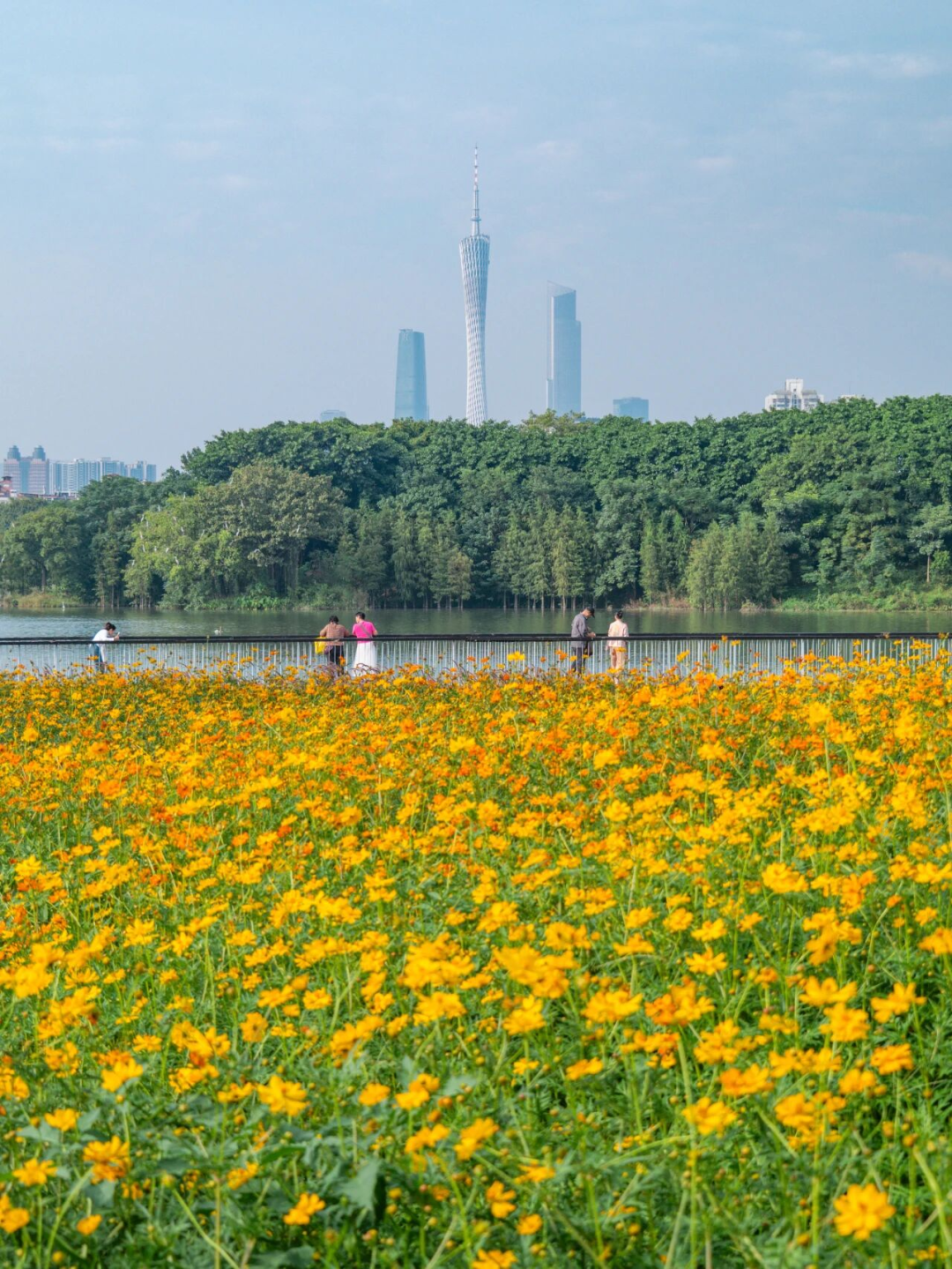 640?wx_fmt=png&from=appmsg#imgIndex=92