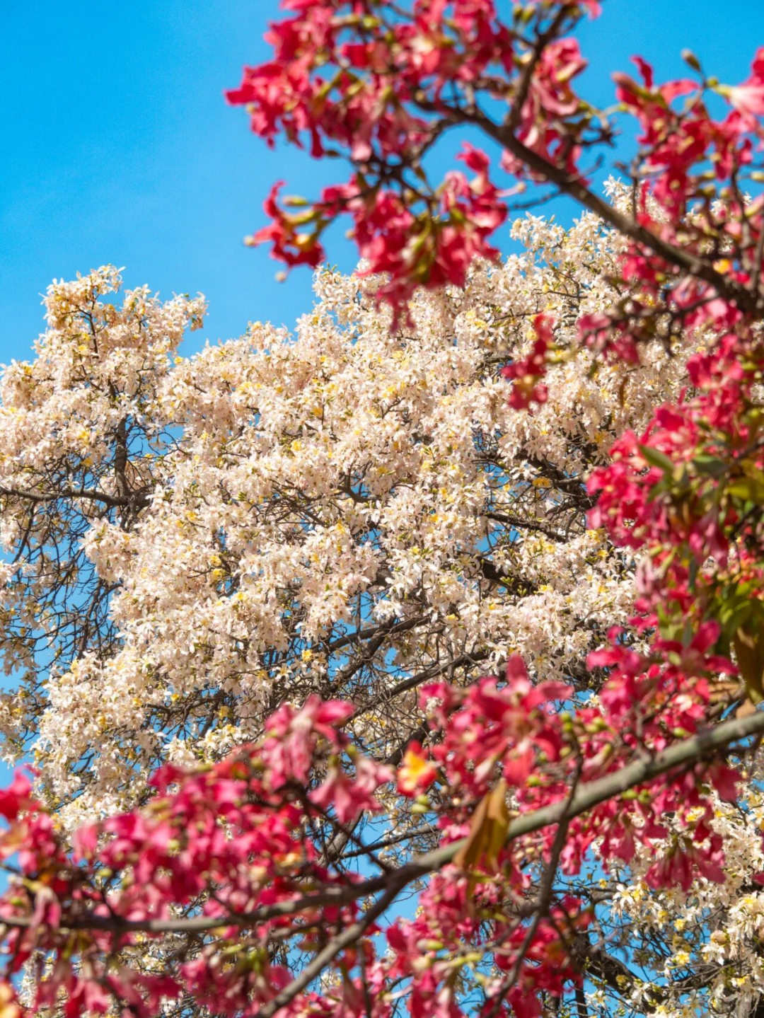 640?wx_fmt=png&from=appmsg#imgIndex=118