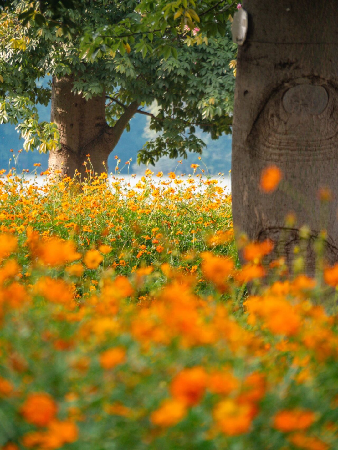 640?wx_fmt=png&from=appmsg#imgIndex=93