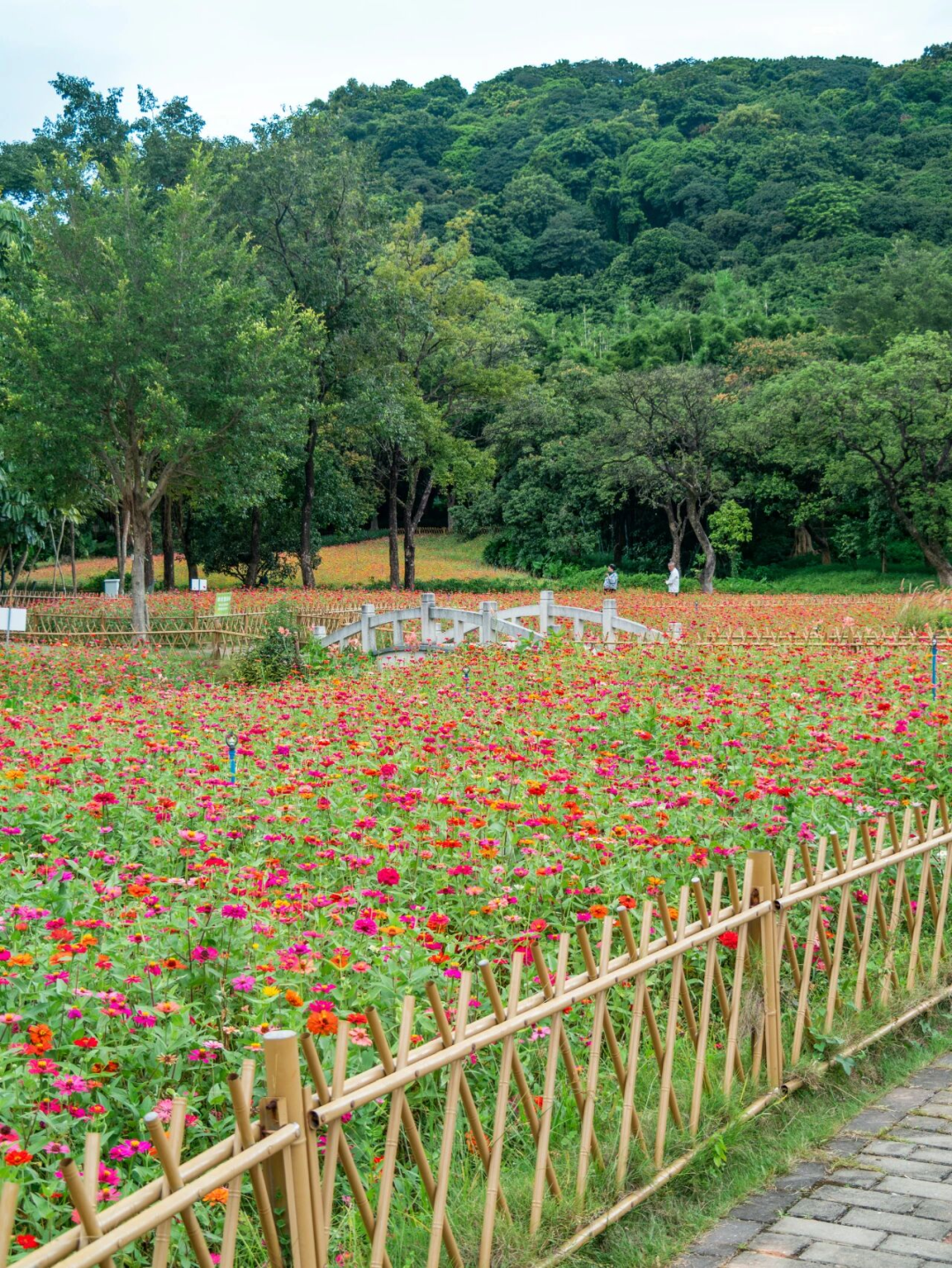 640?wx_fmt=png&from=appmsg#imgIndex=98