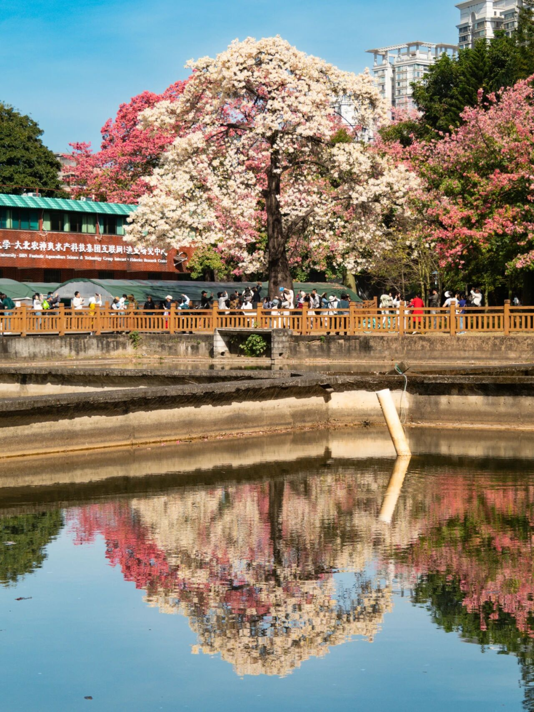 640?wx_fmt=png&from=appmsg#imgIndex=117