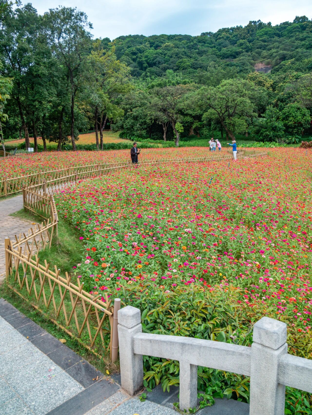 640?wx_fmt=png&from=appmsg#imgIndex=97