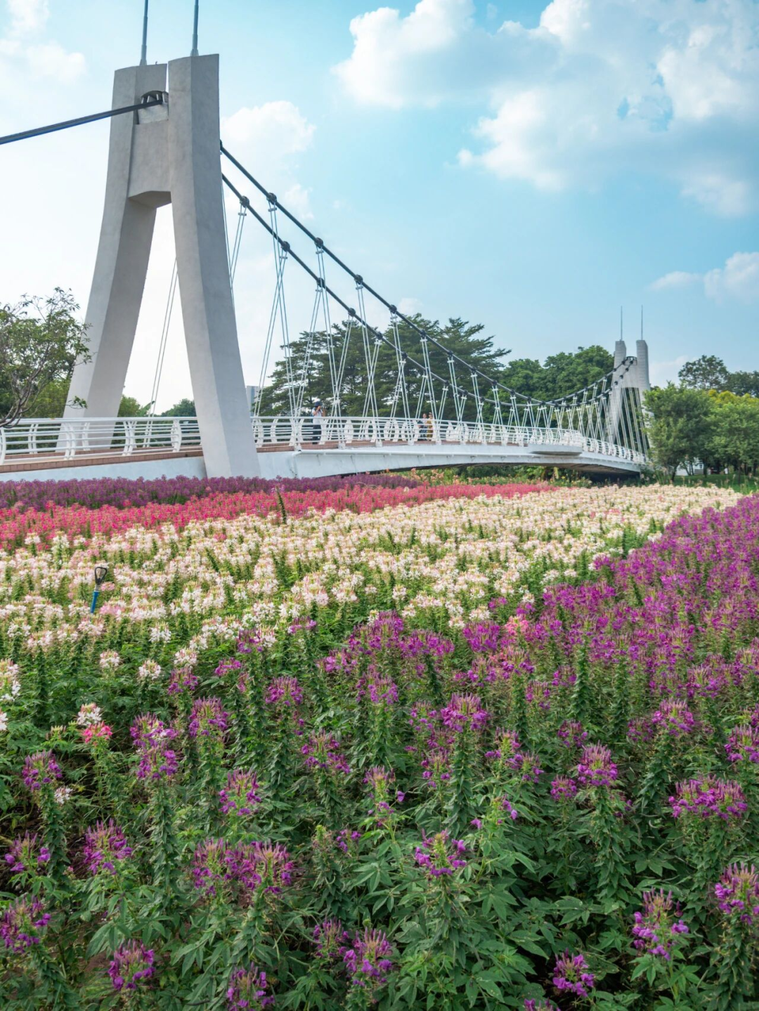 640?wx_fmt=png&from=appmsg#imgIndex=101