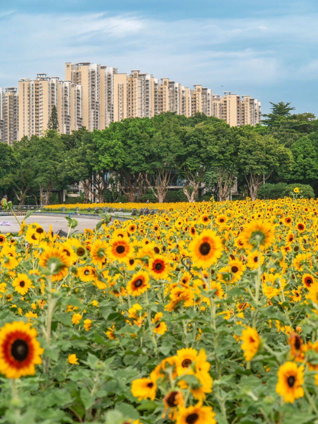 640?wx_fmt=png&from=appmsg#imgIndex=86