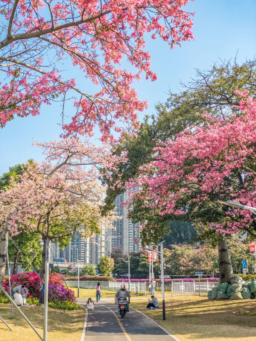 640?wx_fmt=png&from=appmsg#imgIndex=112