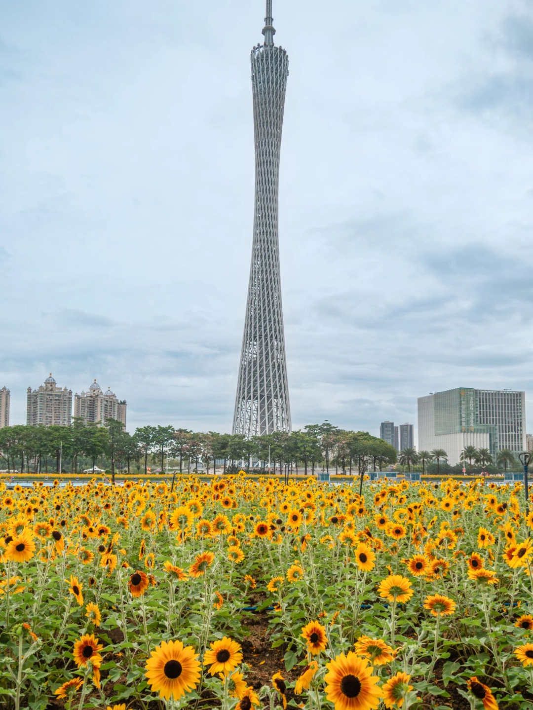 640?wx_fmt=png&from=appmsg#imgIndex=87