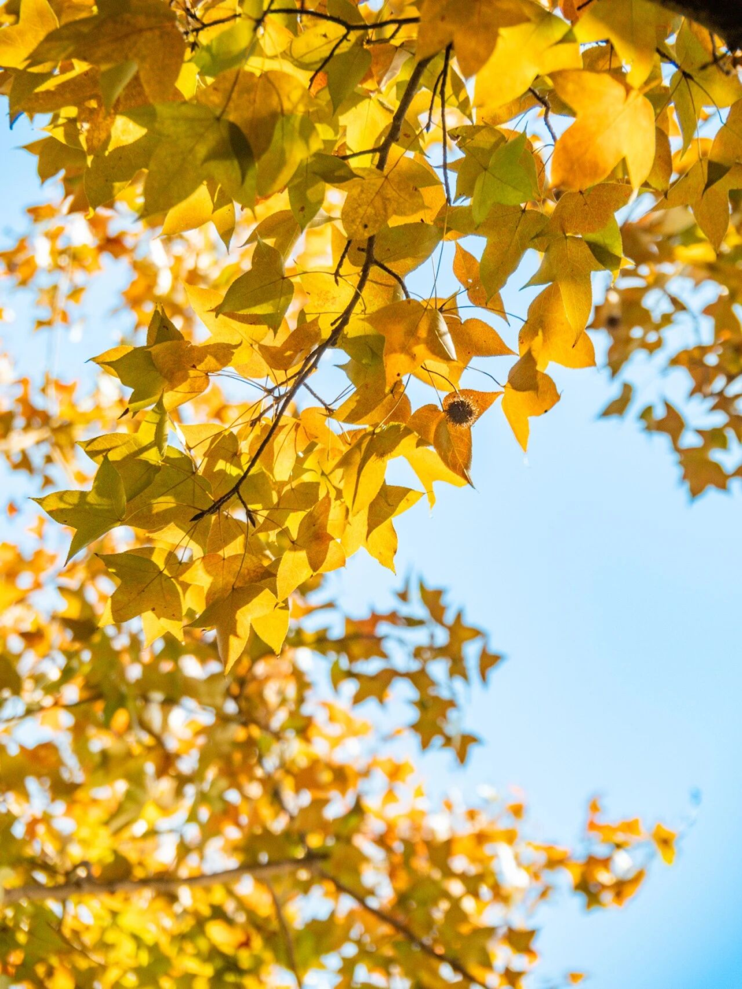 640?wx_fmt=png&from=appmsg#imgIndex=124