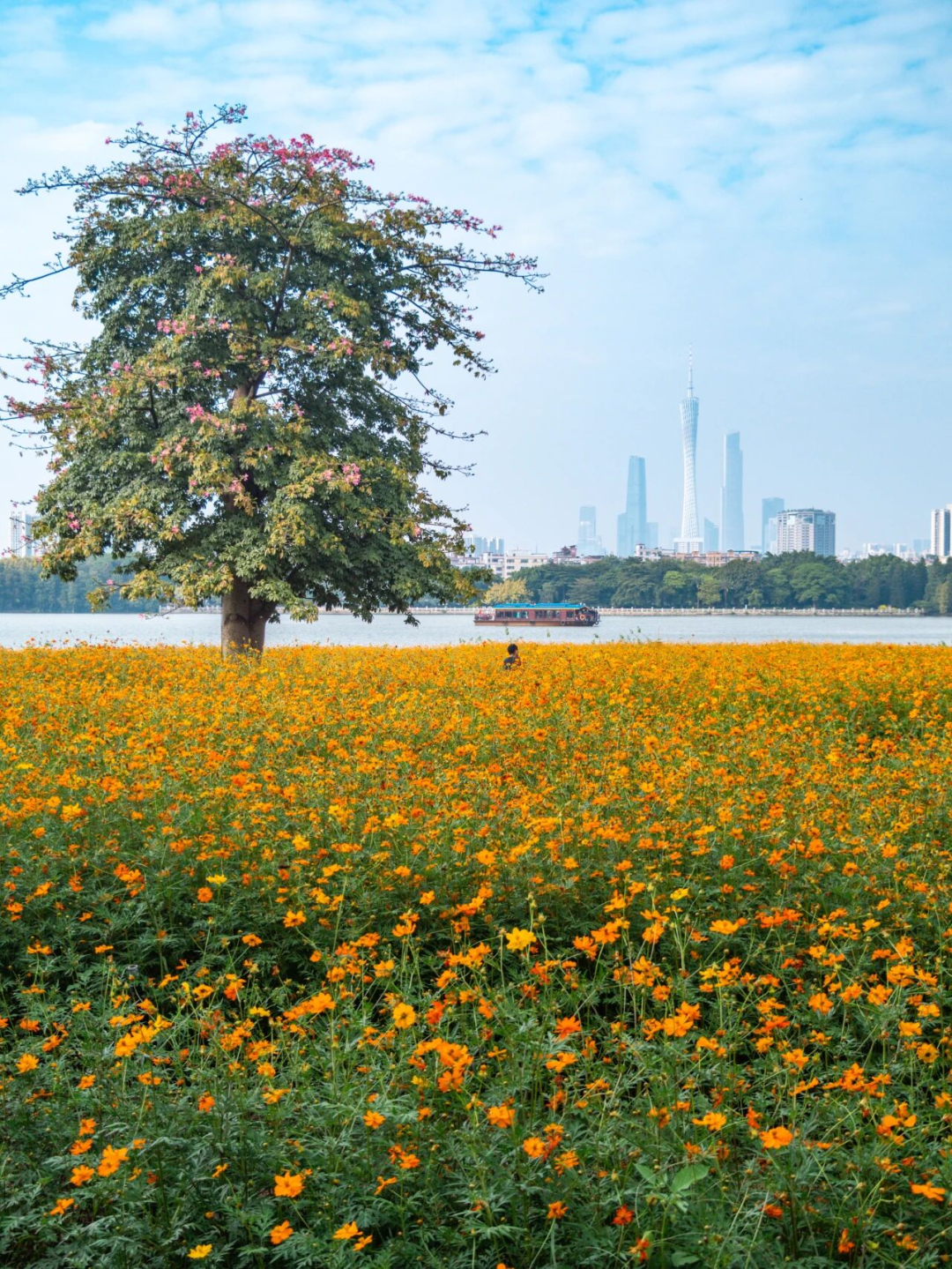 640?wx_fmt=png&from=appmsg#imgIndex=94