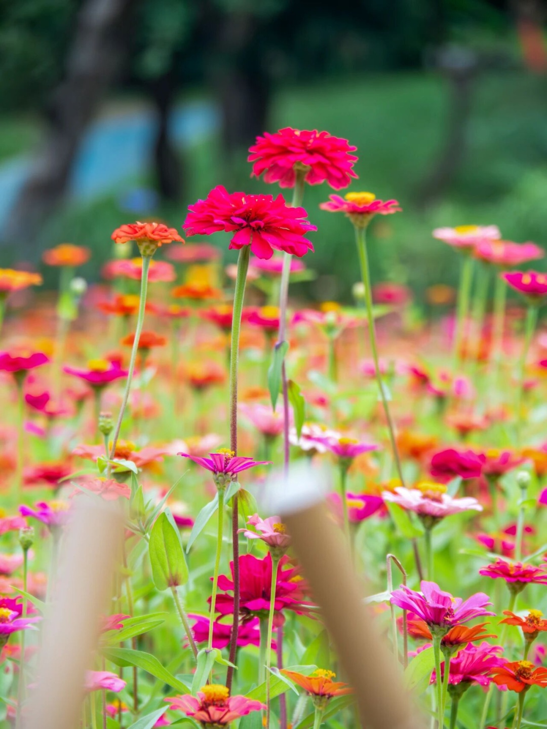 640?wx_fmt=png&from=appmsg#imgIndex=96