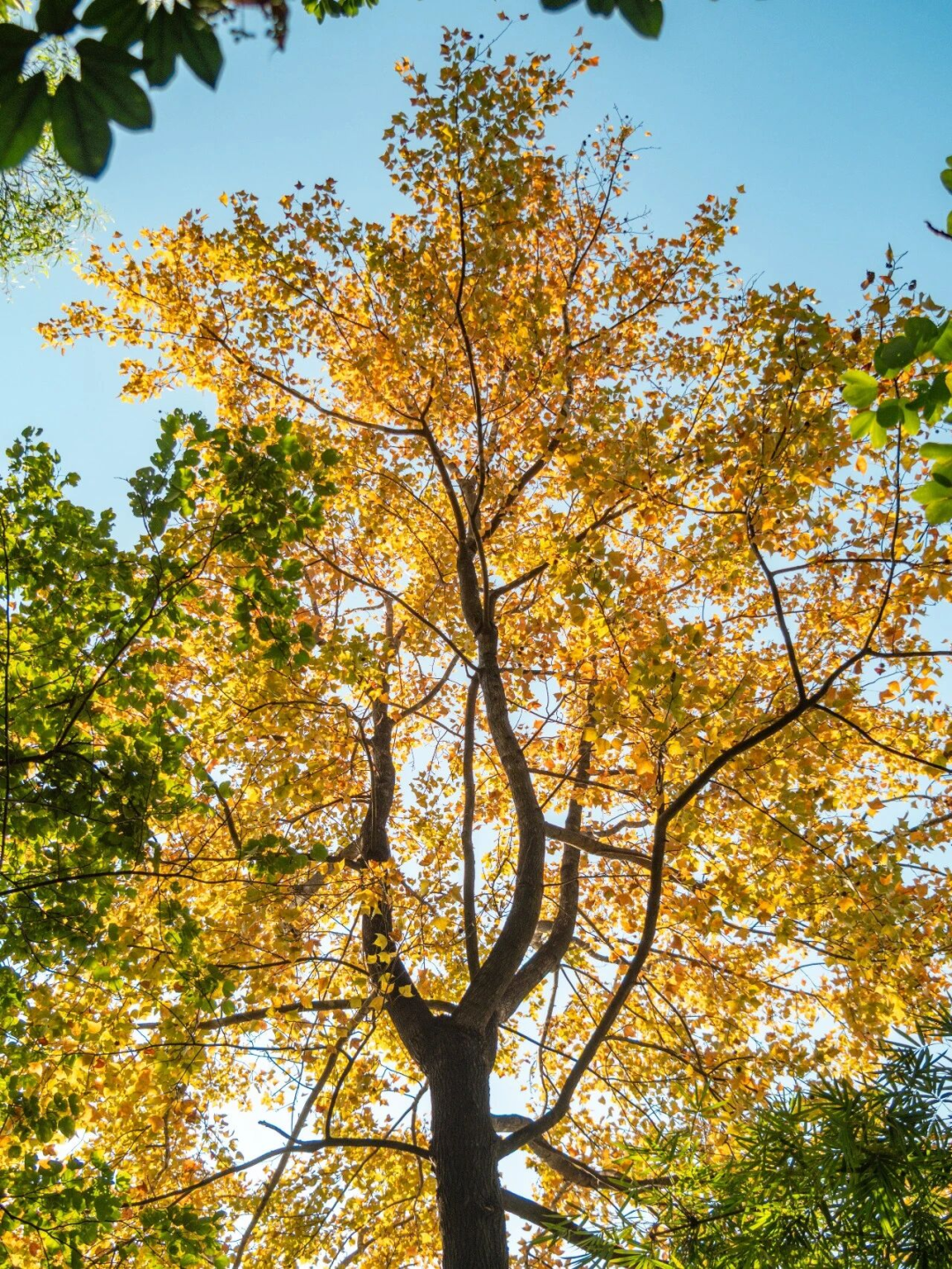 640?wx_fmt=png&from=appmsg#imgIndex=125