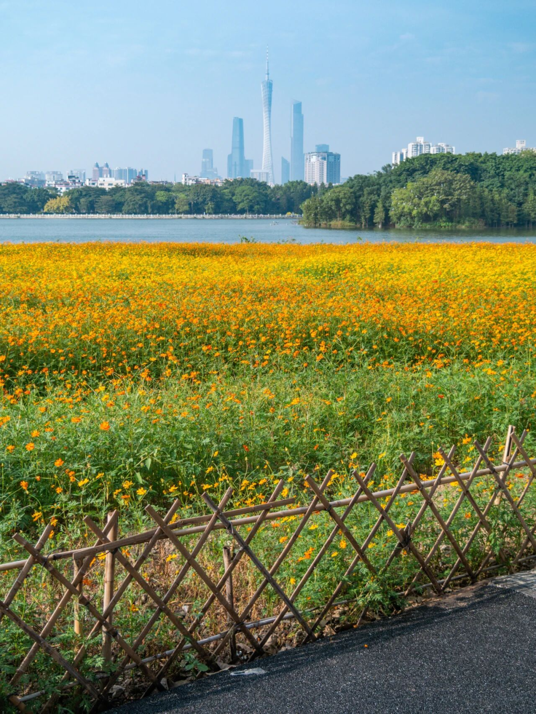 640?wx_fmt=png&from=appmsg#imgIndex=91