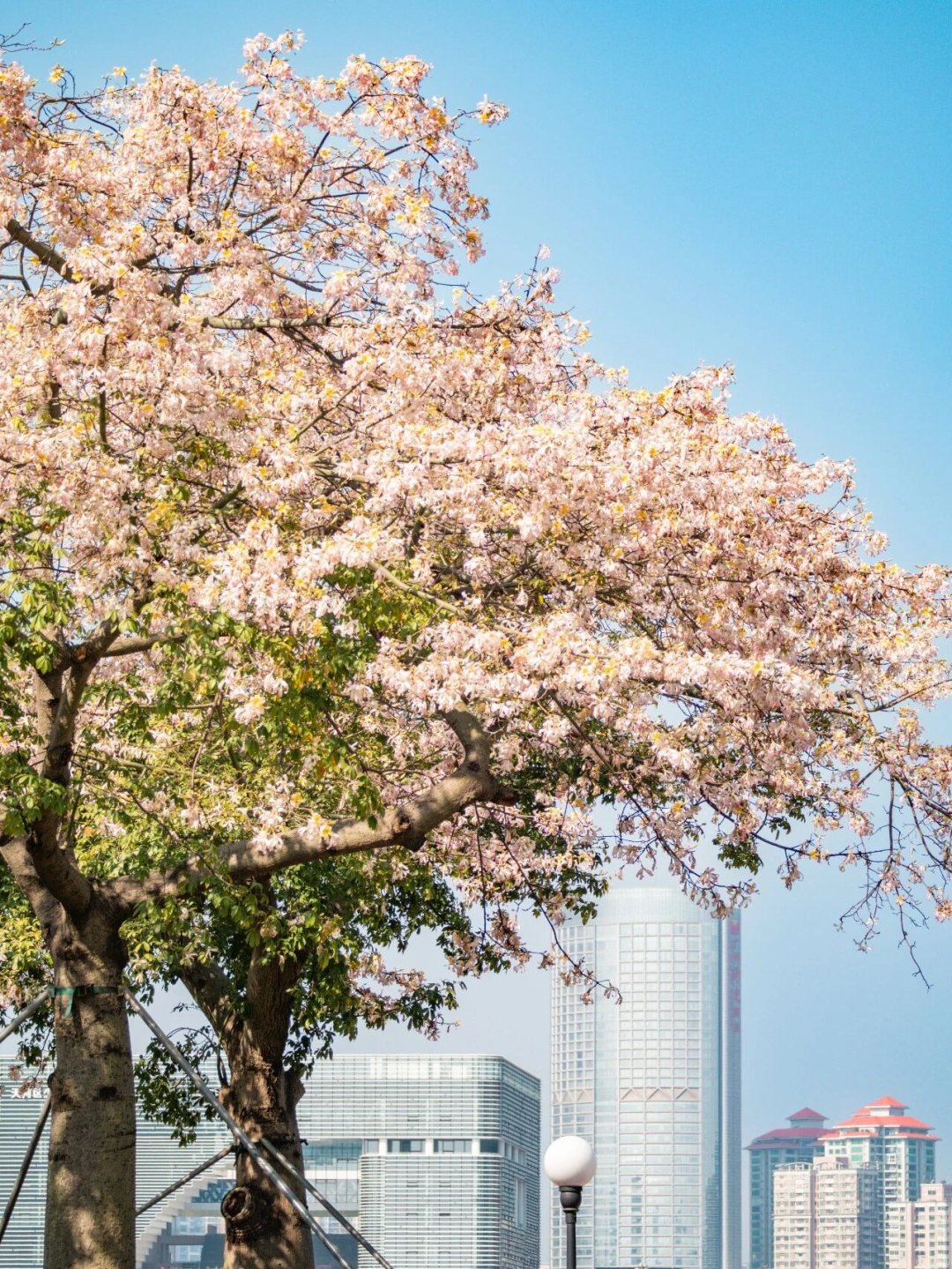 640?wx_fmt=png&from=appmsg#imgIndex=113