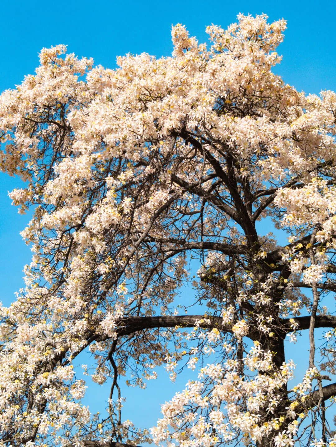 640?wx_fmt=png&from=appmsg#imgIndex=115