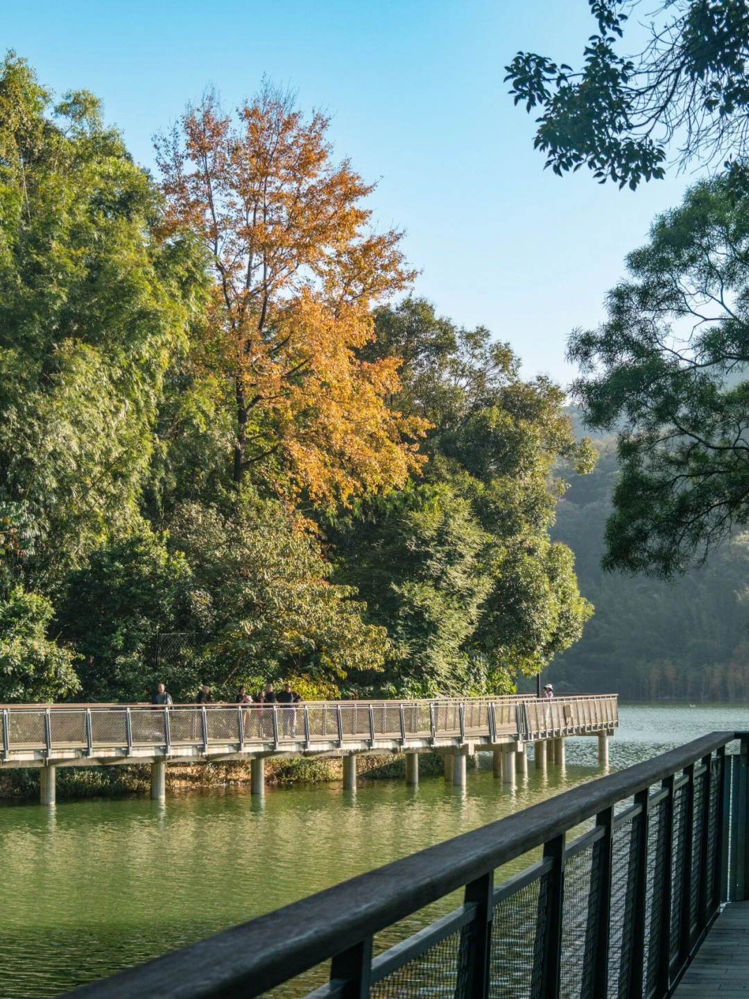 640?wx_fmt=png&from=appmsg#imgIndex=126